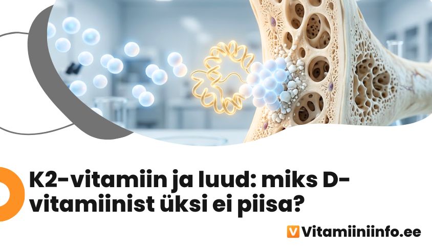 K2-vitamiin suunab kaltsiumi luukoesse osteokaltsiini kaudu