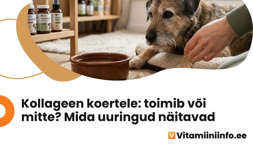 Kollageen koertele: vana koer ja liigesetoidulisandi pulber kausi kõrval